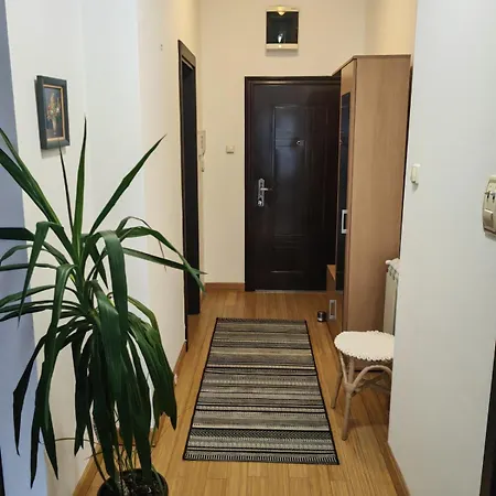 Center Dorcol Free Parking Apartment Belgrade